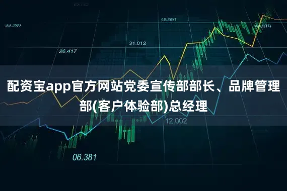 配资宝app官方网站党委宣传部部长、品牌管理部(客户体验部)总经理