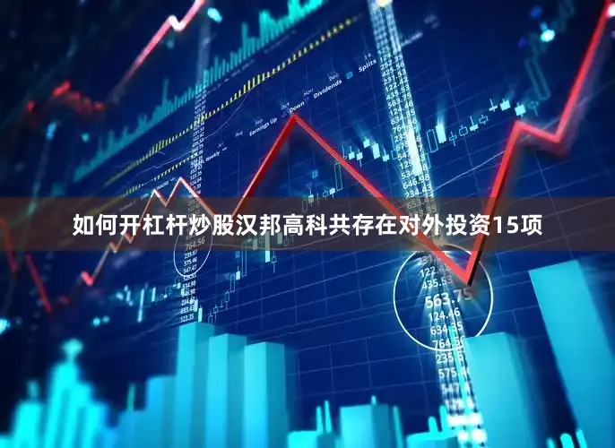 如何开杠杆炒股汉邦高科共存在对外投资15项