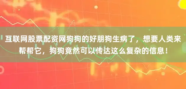 互联网股票配资网狗狗的好朋狗生病了，想要人类来帮帮它，狗狗竟然可以传达这么复杂的信息！