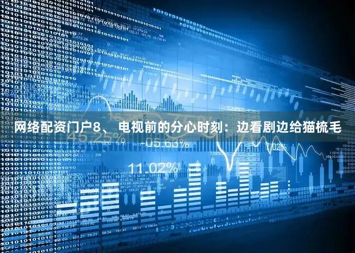 网络配资门户8、 电视前的分心时刻：边看剧边给猫梳毛