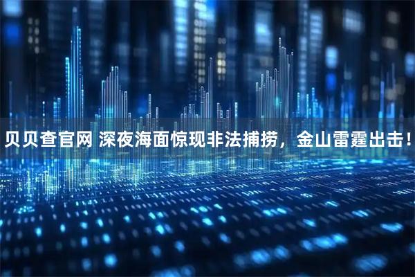 贝贝查官网 深夜海面惊现非法捕捞，金山雷霆出击！